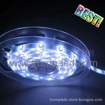 halloween decoration  lighting  tree decoration